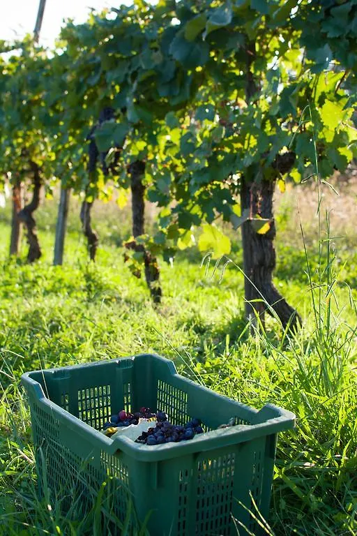 Agriturismo La Torricella Villa Pistoia Farm stay
